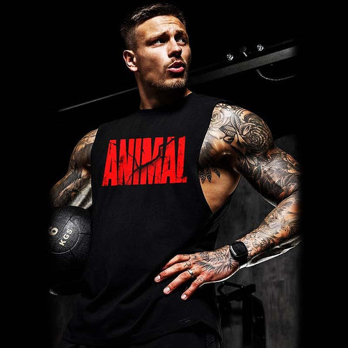 Maieuri Animal Redd
